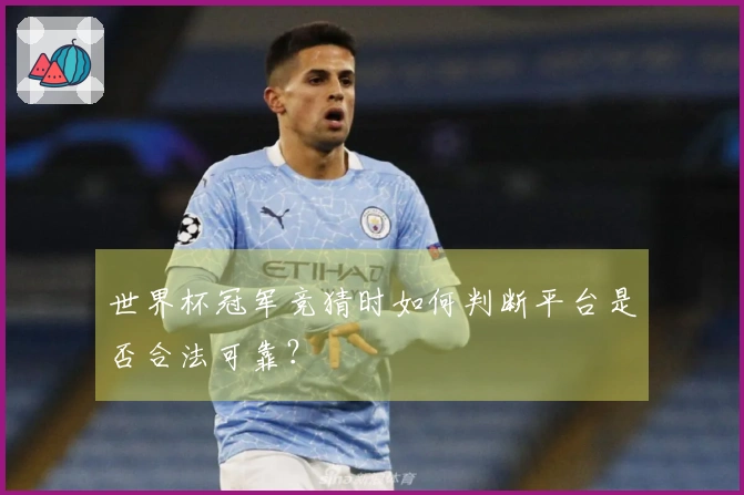 世界杯冠军竞猜时如何判断平台是否合法可靠？
