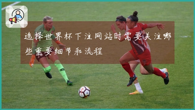 选择世界杯下注网站时需要关注哪些重要细节和流程