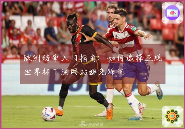 欧洲赔率入门指南：如何选择正规世界杯下注网站避免踩坑