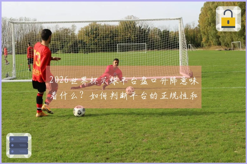 2026世界杯买球平台盘口升降意味着什么？如何判断平台的正规性和稳定性