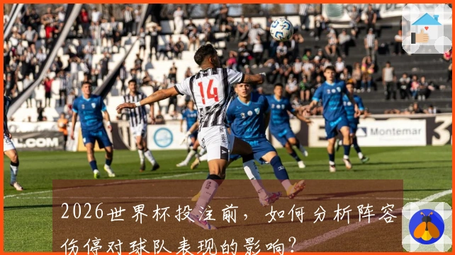 2026世界杯投注前，如何分析阵容伤停对球队表现的影响？