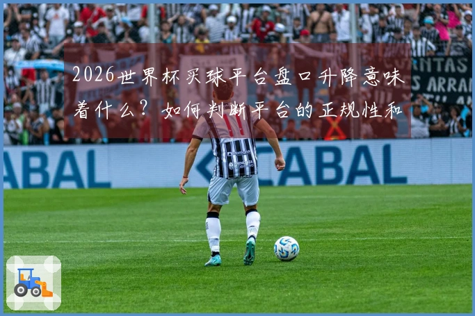 2026世界杯买球平台盘口升降意味着什么？如何判断平台的正规性和稳定性